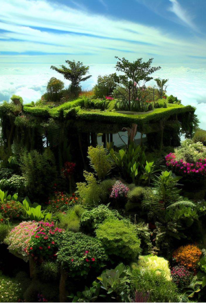 Cake Garden beatifull